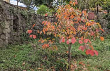 Linda House Corfu 2 - Foto 26