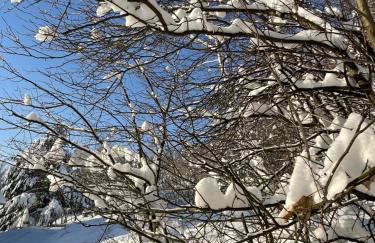 Apartament Kurort Kozubnik - Taras nad Potokiem - Foto 14