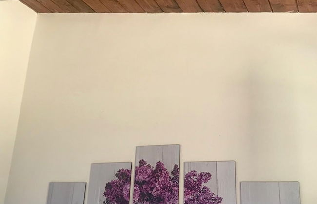 Alloggio Rurale - Foto 48