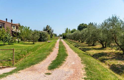 Agriturismo il Pollino - Foto 10