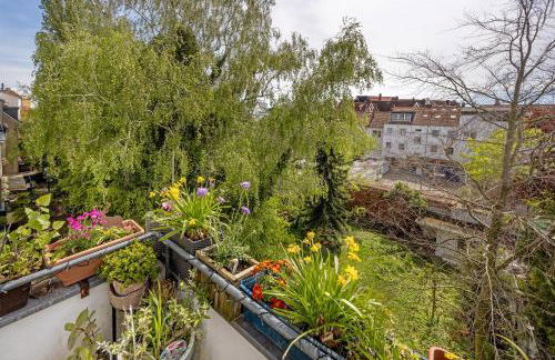 Fewo Sonnenschein - Foto 17