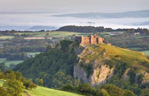 Beautiful Garden Cottage, close to Llandeilo. - Photo 19