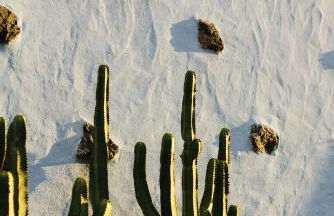 Casa Jable Nueva - Foto 52