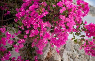 Villa Nina, dreamy little cycladic home in Amorgos - Foto 33