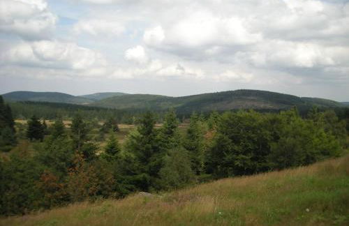 Heide im Haus Kaiser Comfortable holiday residence - Photo 13