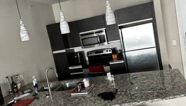 The Hangout ! - Photo 4