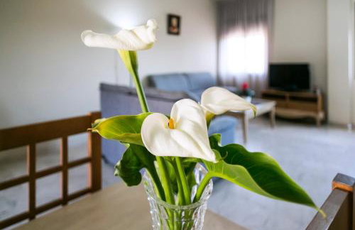 Apartamentos Turísticos La Castilleja - Foto 15