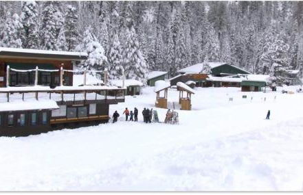 Creekside Cabin - Pup-Friendly with AC - Foto 80