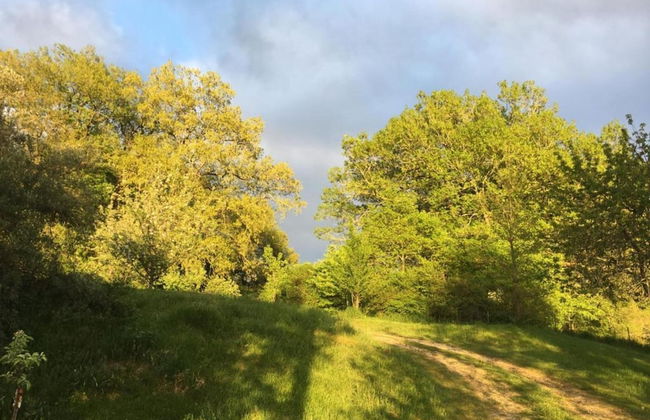 Romantic Stay in a Medieval Castle With Pool and Restaurant Among Others - Foto 72