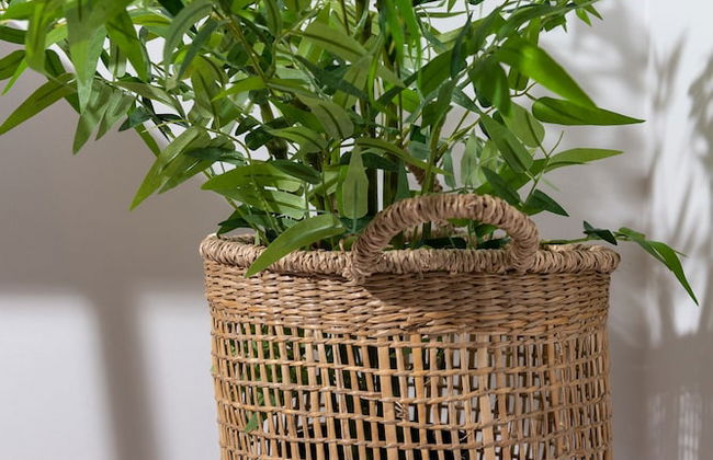 Lithies Zante Living - Foto 70