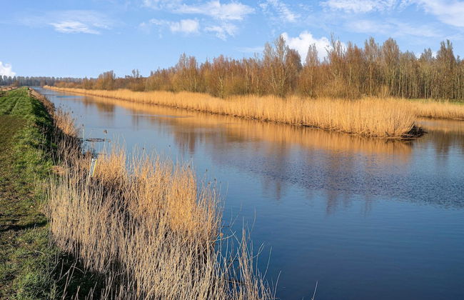 Lovely Holiday Home From 1761 With Contemporary Comfort - Foto 35