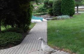 Portage Lakes Serenity - Foto 6