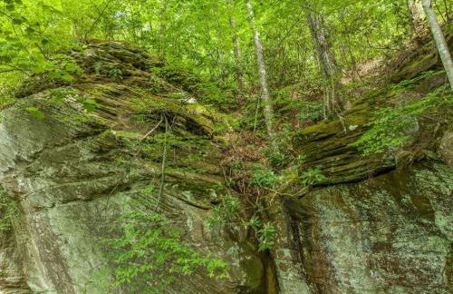 Beech Timber- 30 Acre Secluded Glamping in RRG - Foto 68