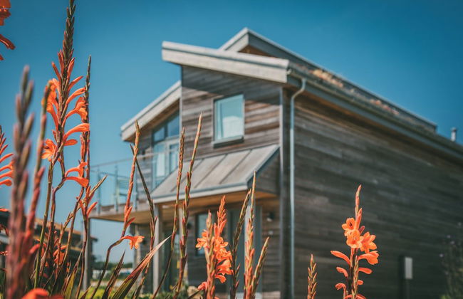 Una St. Ives - Foto 5