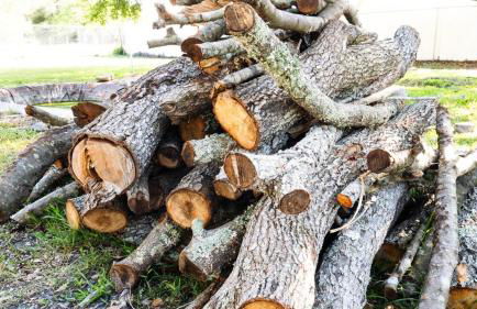 Zephyrhills House for 4 people WiFi BBQ Mini Golf - Foto 51