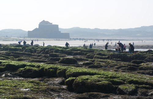 Petite Opale - Foto 26