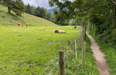 Ferienwohnung am Moosbach - Foto 12