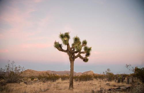 Modern Desert Dream - NEW BUILD - Foto 42