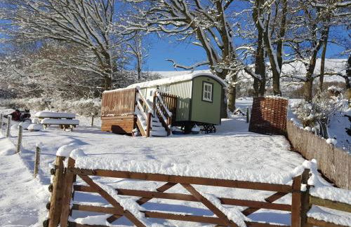 1 Bed in Hereford oc-44235 - Photo 14