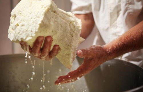 Tenuta San Felice - Foto 40