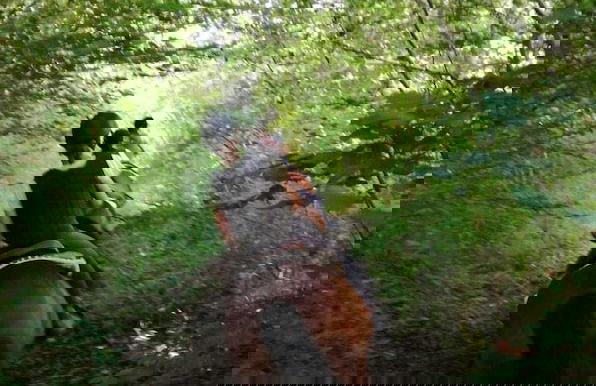 Agriturismo San Filippo - Foto 16