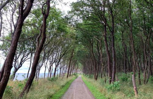 Meerzeit auf Poel B&B - Foto 2