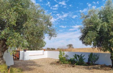 Montadinho Houses - Foto 35