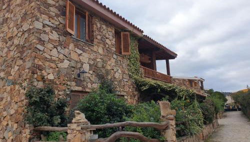 La flabellina blu - Foto 3