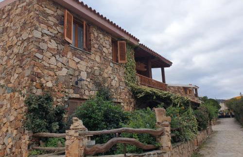 La flabellina blu - Foto 3