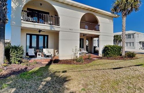 Lion On The Beach - Photo 25