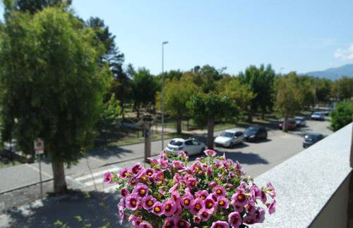 Eleatica Holiday Apartment - Foto 54