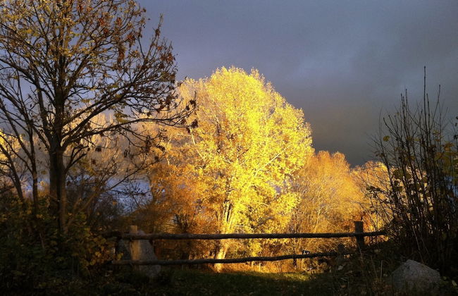 Casa rural cal Rei - Foto 45