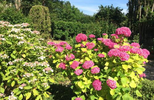 Loire Valley Medieval Getaway - Photo 53