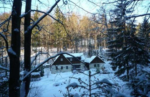 Ferienhaus Jägerhaus Oppach Alleinlage mit See - Foto 70