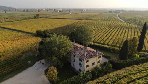 Domus Cariana - Foto 5