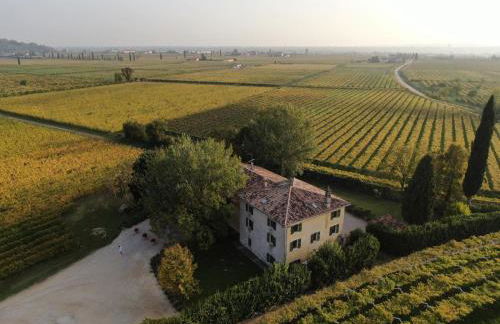 Domus Cariana - Foto 5