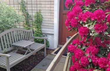 Ferienwohnung und Monteurwohnung Schulz - Photo 2