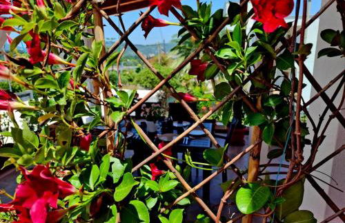 Andreas' Guest House - Foto 31