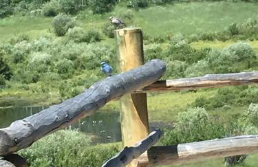 Wapiti Retreat at 22 West Cabins and Recreation - Foto 39