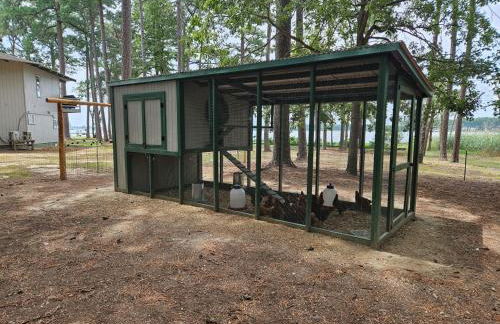 Sunset Breezes - quiet waterfront retreat - Foto 44