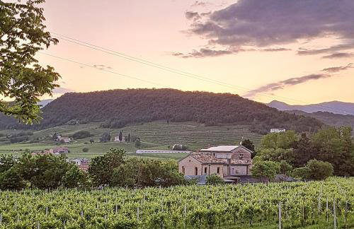 Casadesergio - Photo 40