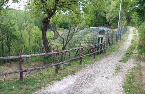 La Chimera - Foto 26