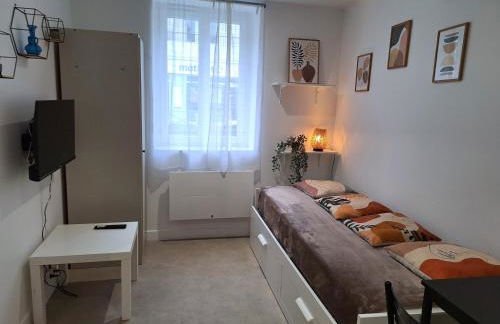 Jeny 1 - Studio rénové tout confort - RDC - Wifi - 10mn Hypercentre - Foto 11