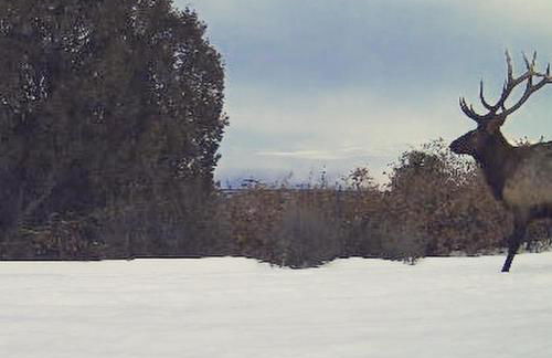 Old Raton Pass Base Camp Cabin with Loft Northern New Mexico Mountain Ranch on Colorado Border cabin - Foto 46