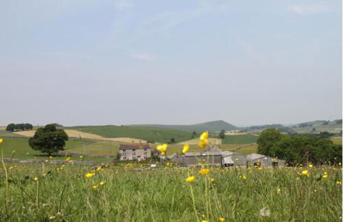 Winnow Barns Holidays - Foto 14