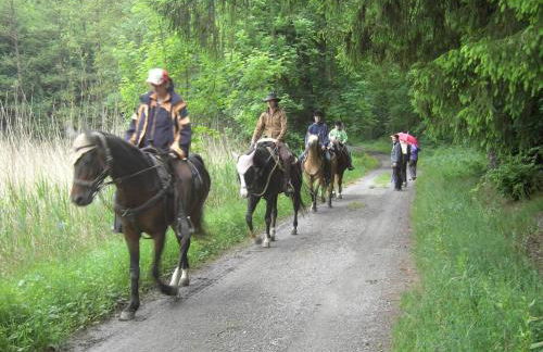 Sonnige Südwohnung mit Terrasse, Badesee - Foto 39