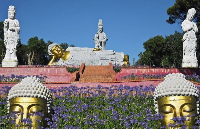 D'Felicidade - Foto 58