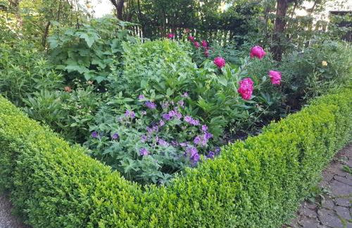 Ferienwohnung 1880 - Foto 34