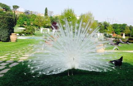 Agriturismo La Casa Di Rodo - Foto 33