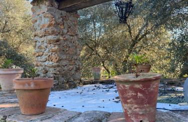 Casa Rural San Antonio - Photo 11